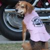 Biker Dawg Jacket - Pink