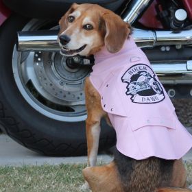 Biker Dawg Jacket - Pink (Size: X-Small, Color: Pink)