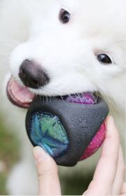 Elastic Light-Up Squeaker Ball (Design: round)