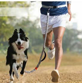 Hands-Free Dog Leash for Medium and Large Dogs – Durable Dual Handle Waist Leash with Reflective Bungee for Running, Walking, Training, and Hiking (Specification (L * W): 2.5*160cm, colour: Orange -4211)