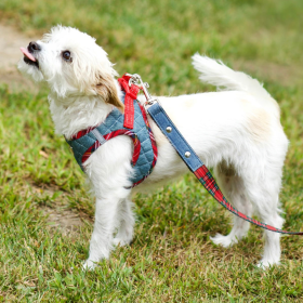 Step-In Denim Dog Harness - Red Plaid (Size: Large, Color: Red Plaid)